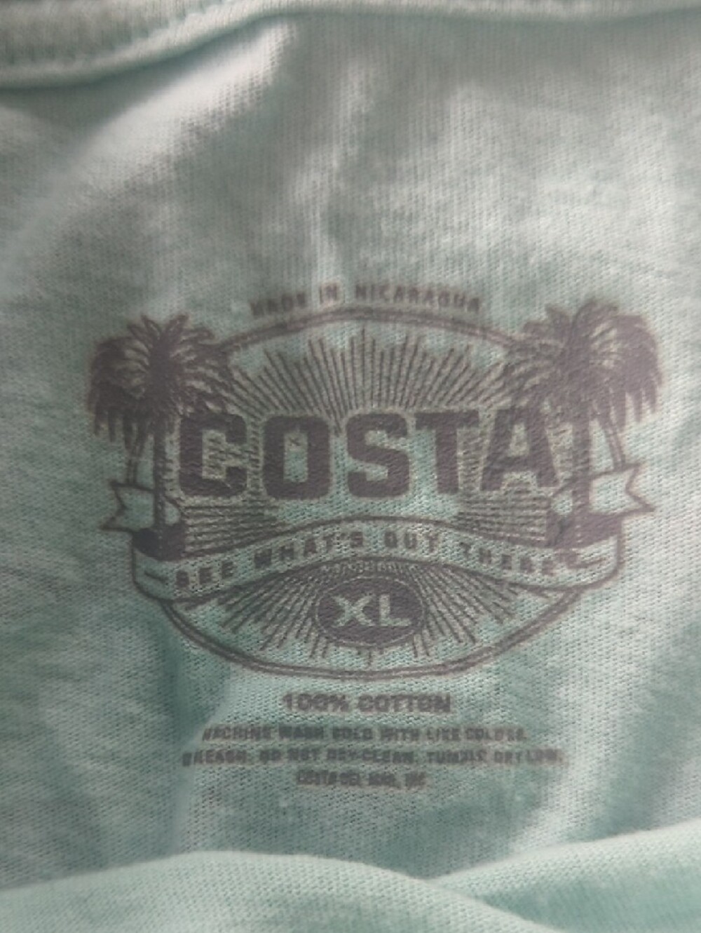 Costa Mint Green Logo Tee with Palm Graphic - Picture 3 of 3